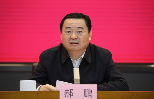 郝鵬、國資、央企、國資委、書記、主任、國企、企業(yè)改革
