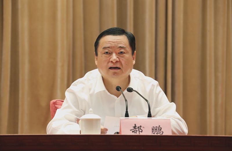 郝鵬、國資、央企、國資委、書記、主任、國企、企業(yè)改革